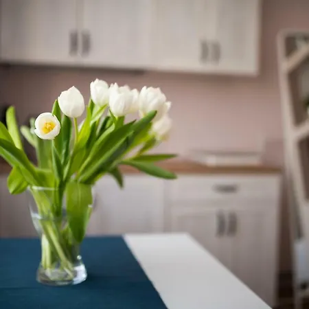 Galeria Apartment Lublin Room photo